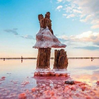 火狐官方网站下载手机版