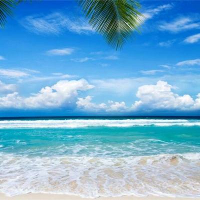 火狐官方网站下载手机版