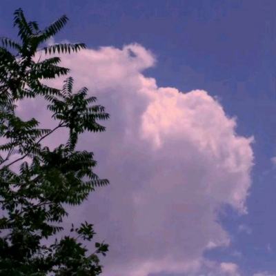 雷竞技·APP截图